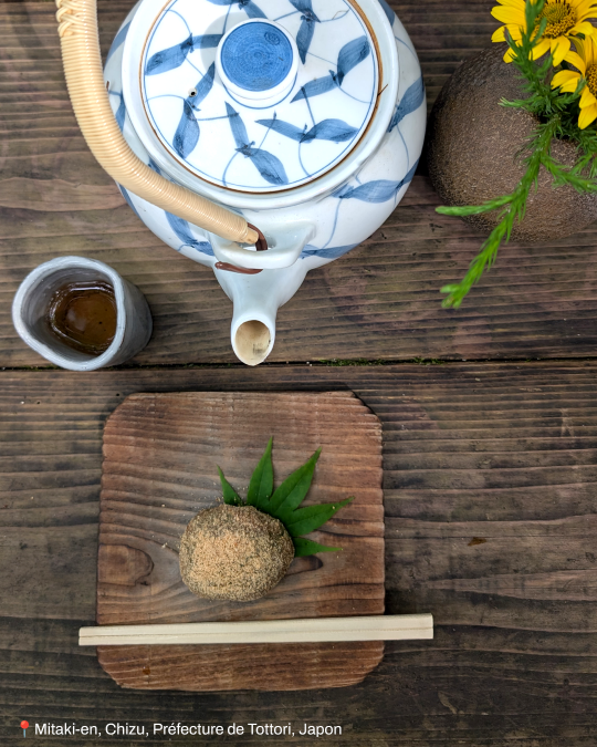 Le mochi aux herbes 5