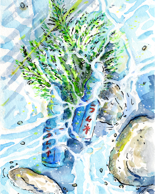 Le ruisseau aux ramune 2