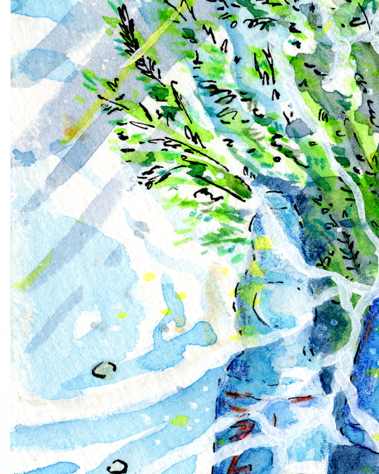 Le ruisseau aux ramune 3