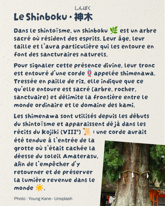 Le Shinboku 6